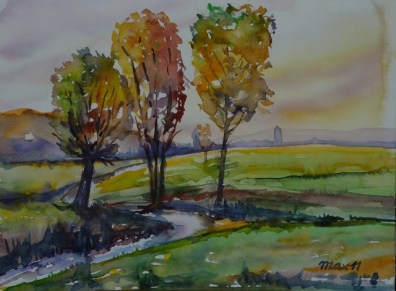 Blog de velomaxou : Vélomaxou, le blog d'un cyclo mulhousien, Pédaler et peindre