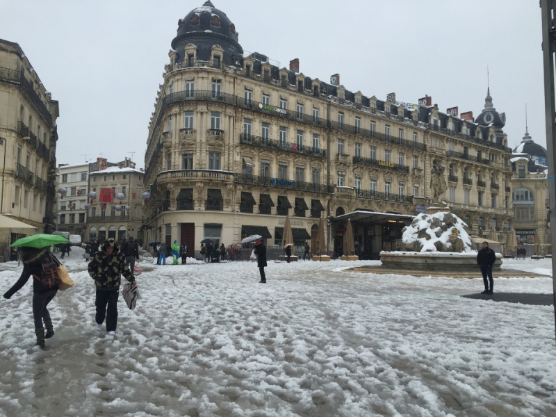 1634179_719_img-3988_800x600p