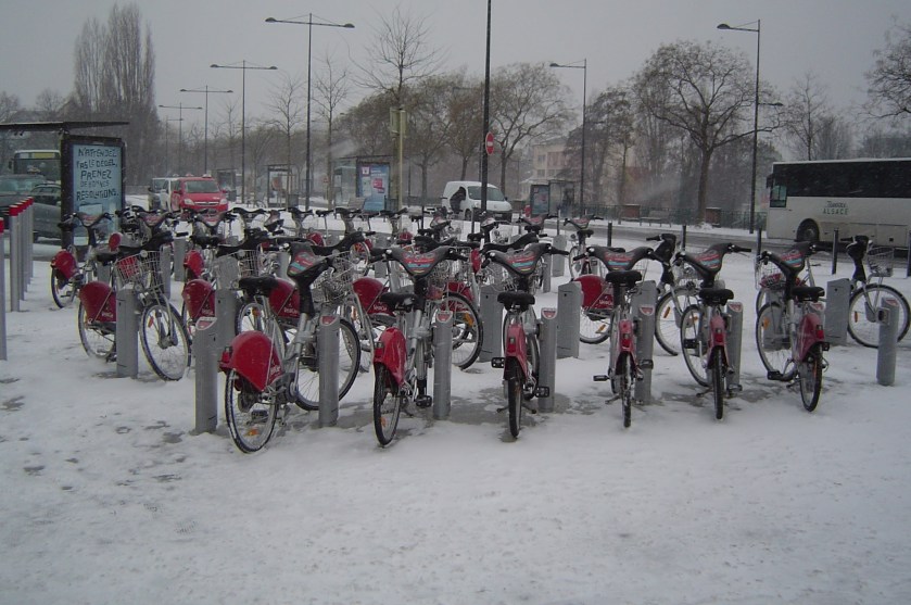 sc01494_idj.jpg