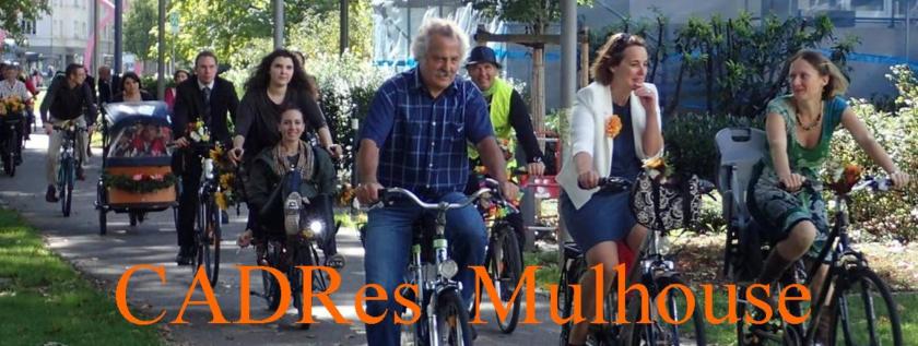 banniere-velomulhouse-471.jpg